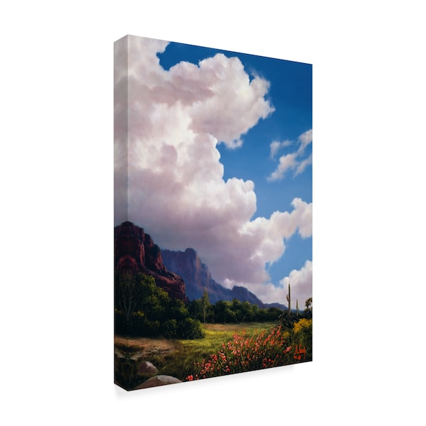 Anthony Casay 'Mountain Landscape 1' Canvas Art,30x47